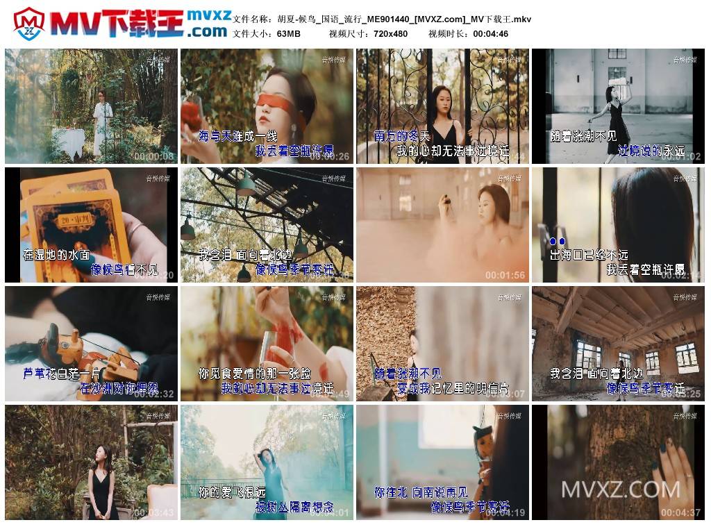 胡夏-候鸟_国语_流行_ME901440